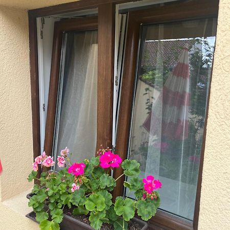 Kerti Franciaagyas Apartman Vác Dış mekan fotoğraf