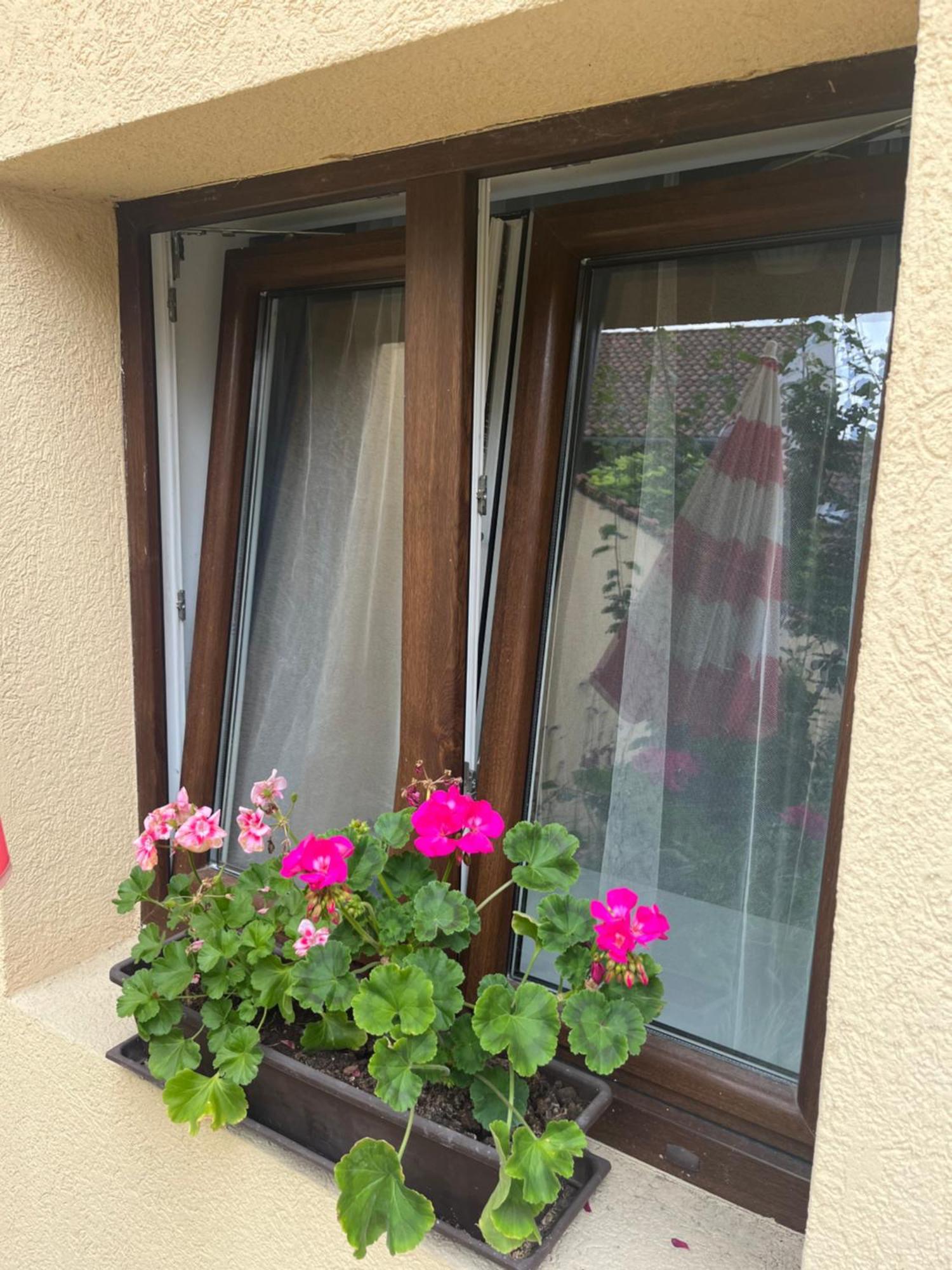 Kerti Franciaagyas Apartman Vác Dış mekan fotoğraf